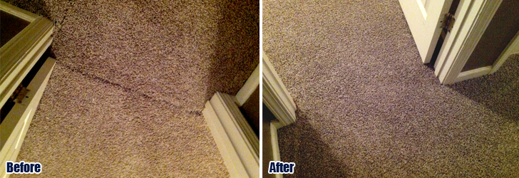 Carpet Repair Secrets! Hiding Carpet Seams
