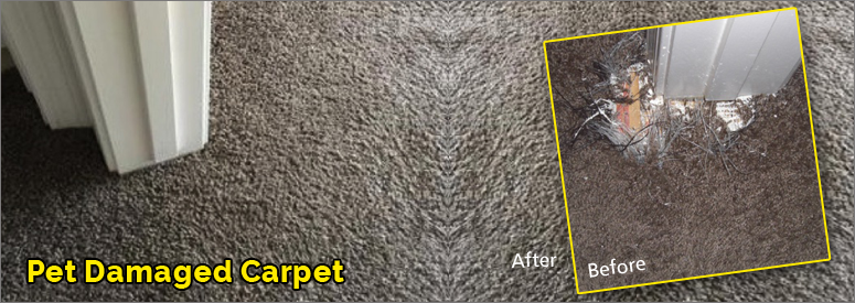 Carpet Repair From Pet Damage, El Cajon